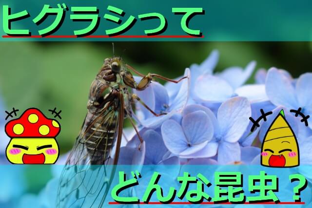 Thumbnail of post image 022